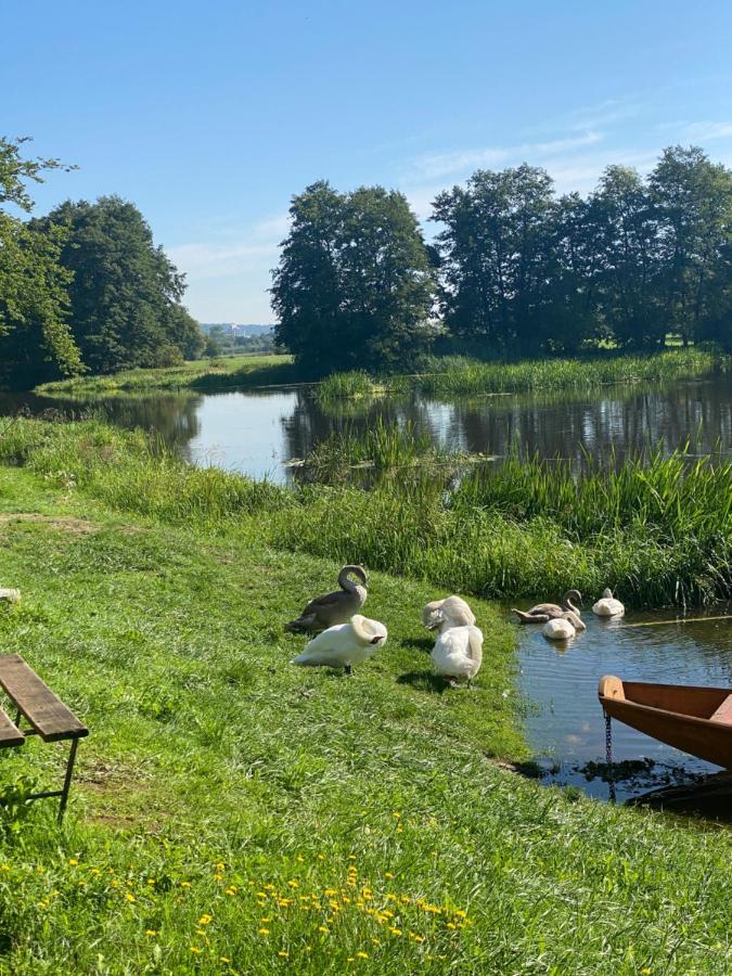 Idyllische Ferienwohnungen In Mossendorf Blick Zur Naab Burglengenfeld Bagian luar foto