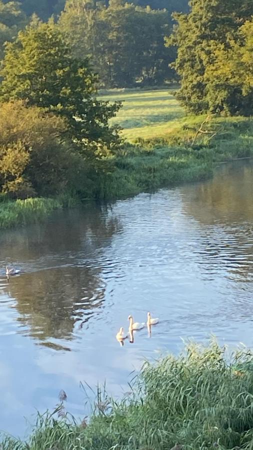 Idyllische Ferienwohnungen In Mossendorf Blick Zur Naab Burglengenfeld Bagian luar foto
